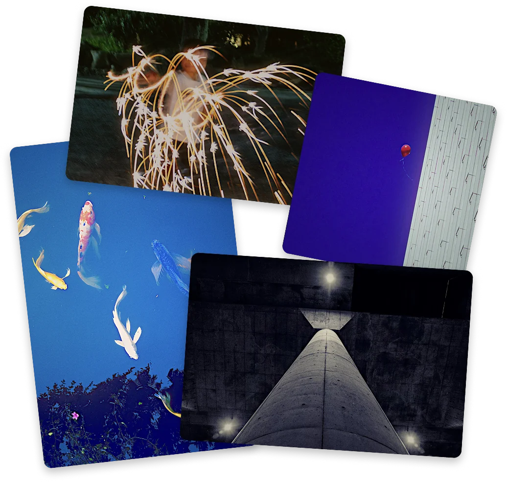 ルックを適用した写真のバリエーション