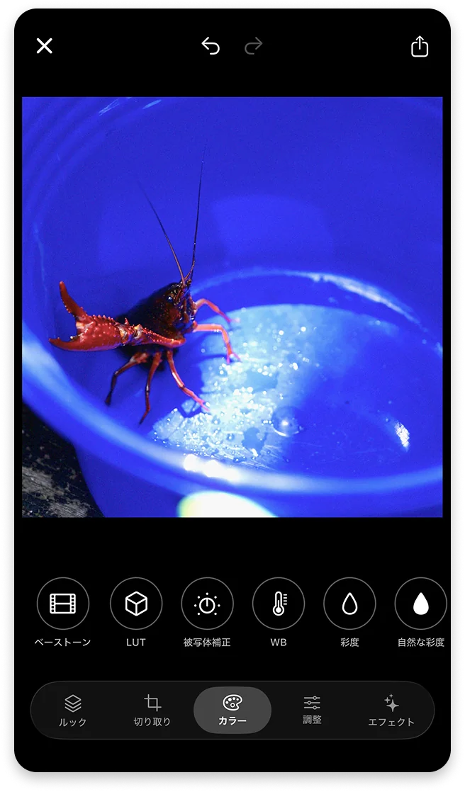 HSL や Curves などの色調整ツール